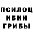 Псилоцибиновые грибы мухоморы Laizyy 444