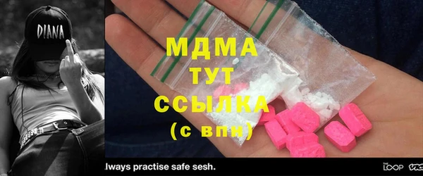 прущие грибы Абаза