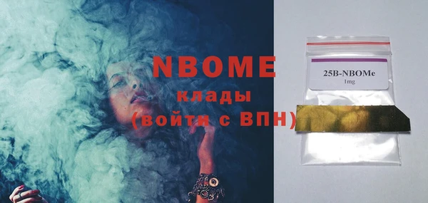 прущие грибы Абаза