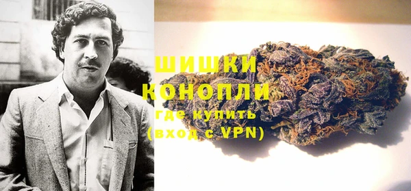 прущие грибы Абаза