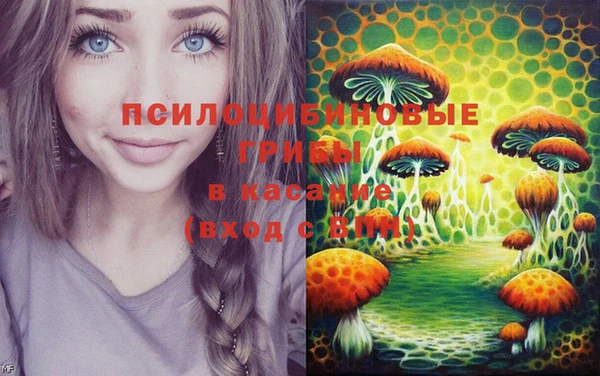 гидропоника Рославль