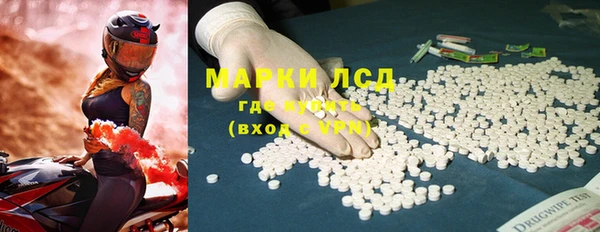 прущие грибы Абаза