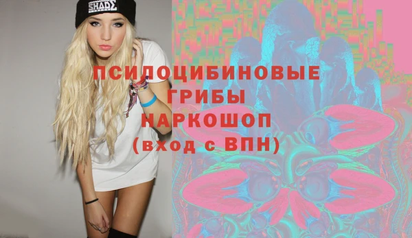 МДПВ Абинск