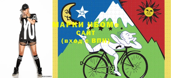 прущие грибы Абаза