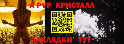 jwh Кингисепп