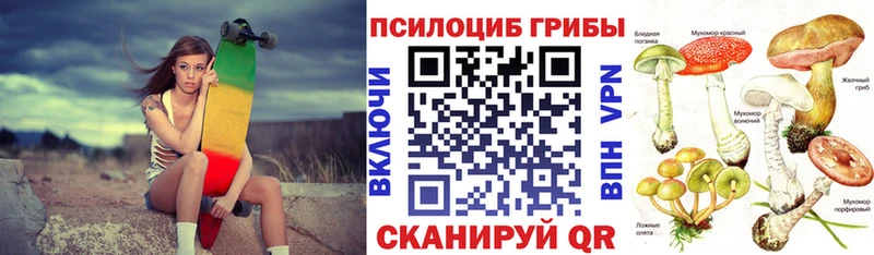 Псилоцибиновые грибы Psilocybine cubensis  продажа наркотиков  Кудымкар 