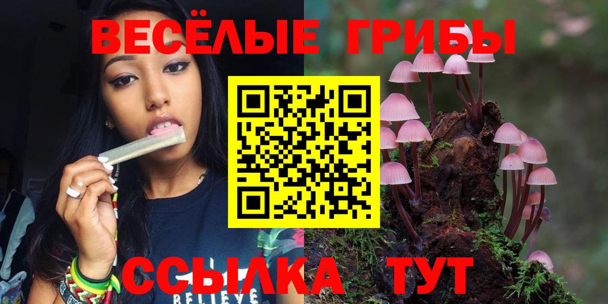 купить наркотик  Вход с VPN  Кудымкар  Галлюциногенные грибы мицелий 