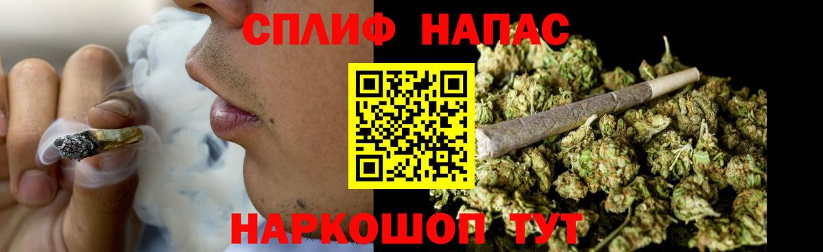 Каннабис сатива Кудымкар